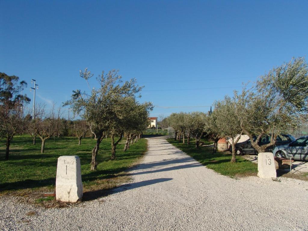 Podere 1248 Ladispoli Buitenkant foto
