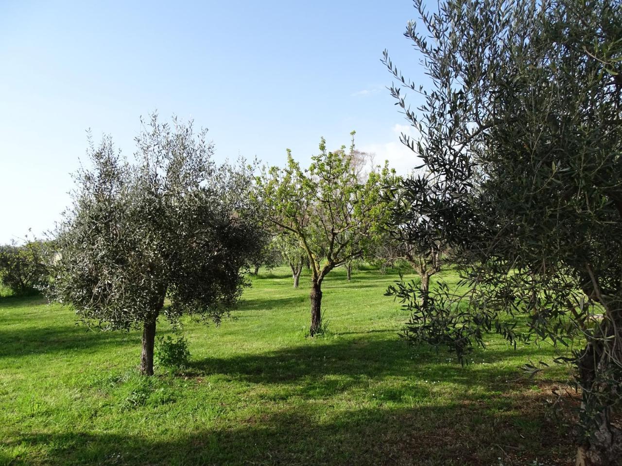 Podere 1248 Ladispoli Buitenkant foto